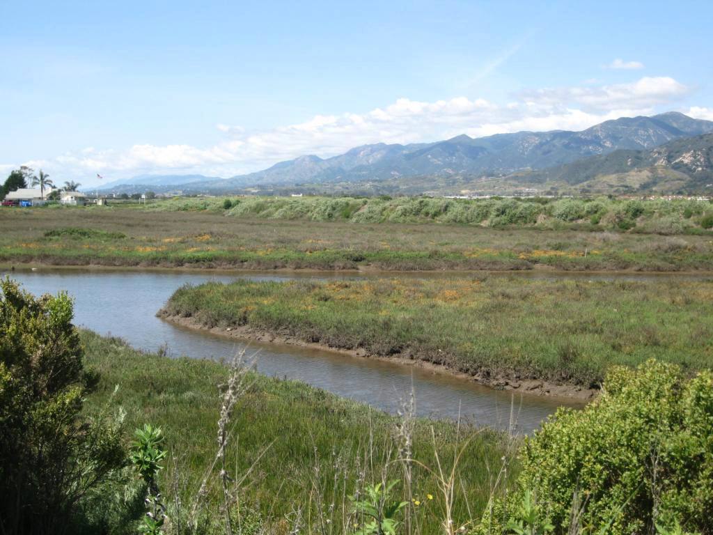 Carpinteria Salt Marsh, Basin 1 Enhancement Plan