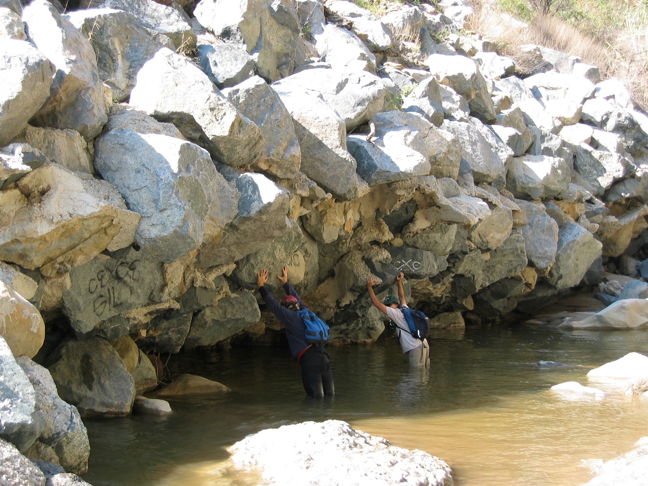 Topanga Creek Restoration Program
