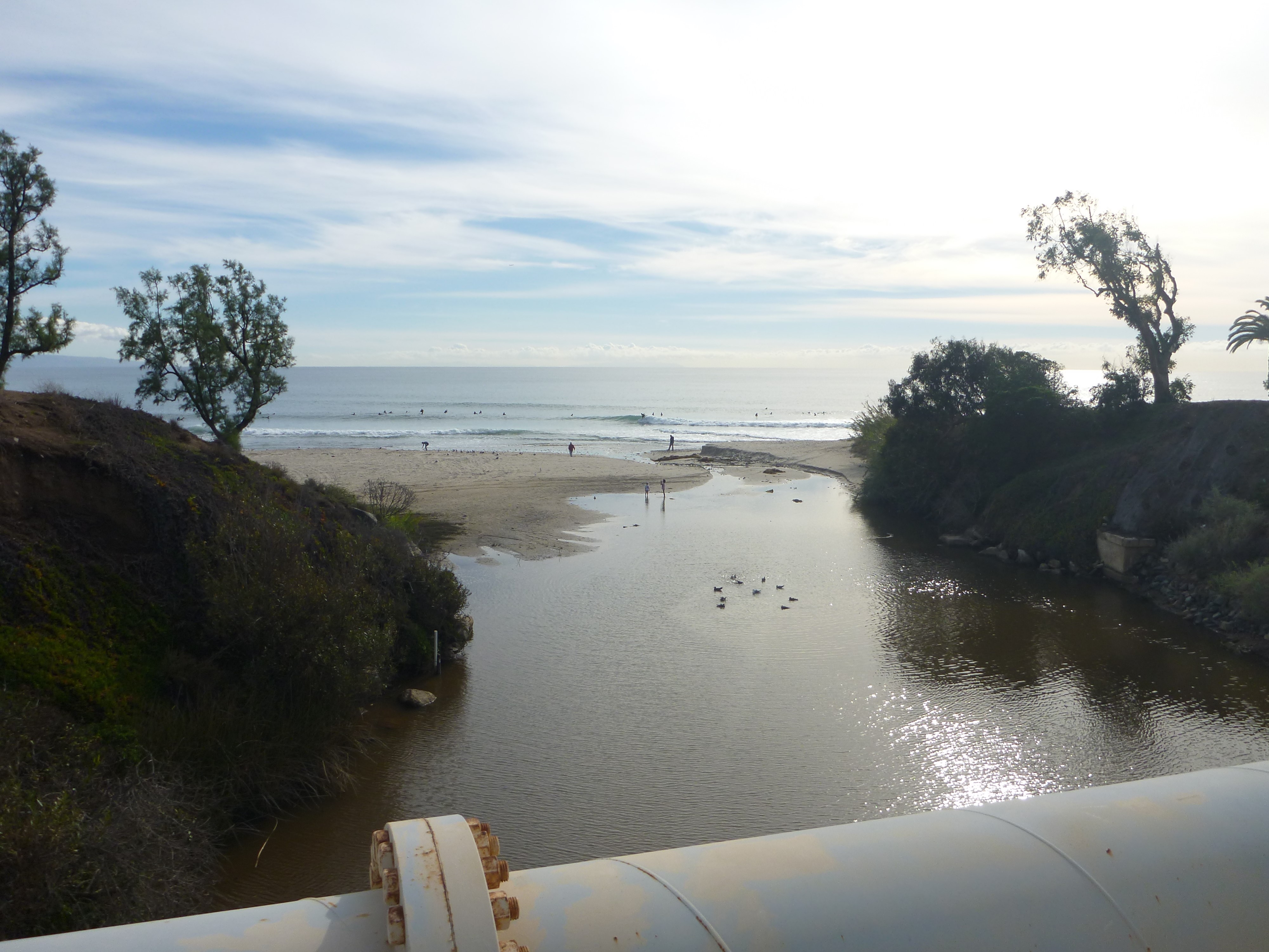 Topanga Lagoon and Watershed Restoration Feasibility Study