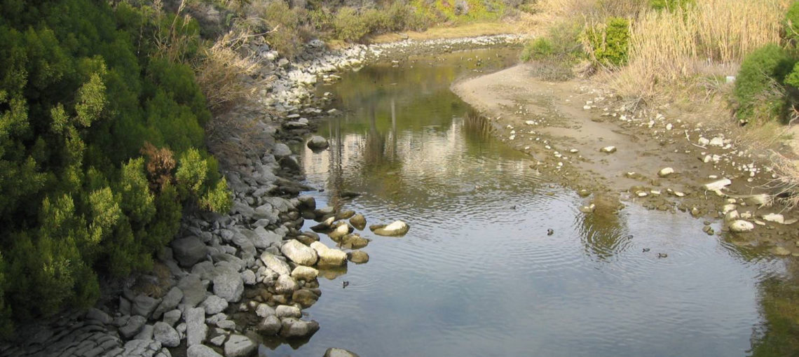 Aliso Creek Estuary Restoration Plan