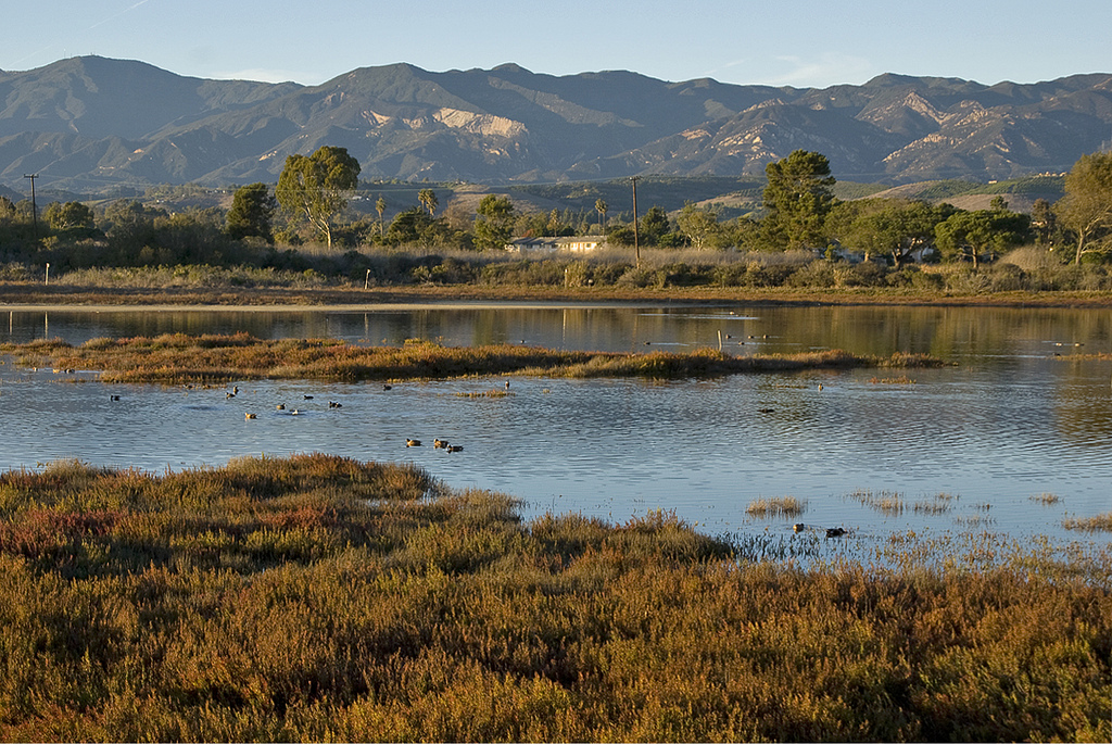 Coal Oil Point Reserve Coastal Access and Habitat Restoration: Phase 1 and 2