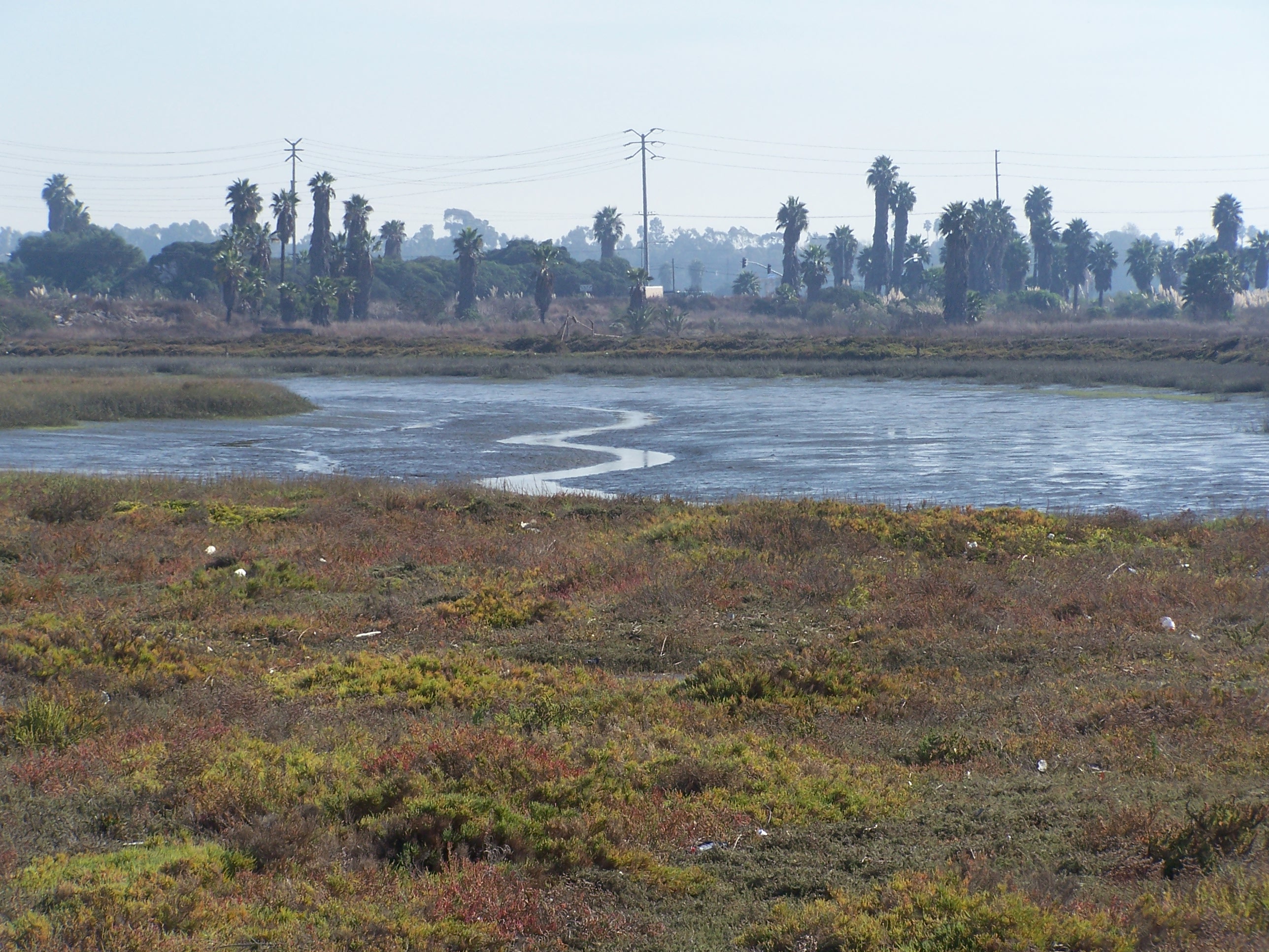 Los Cerritos Wetlands: Wetland Acquisition