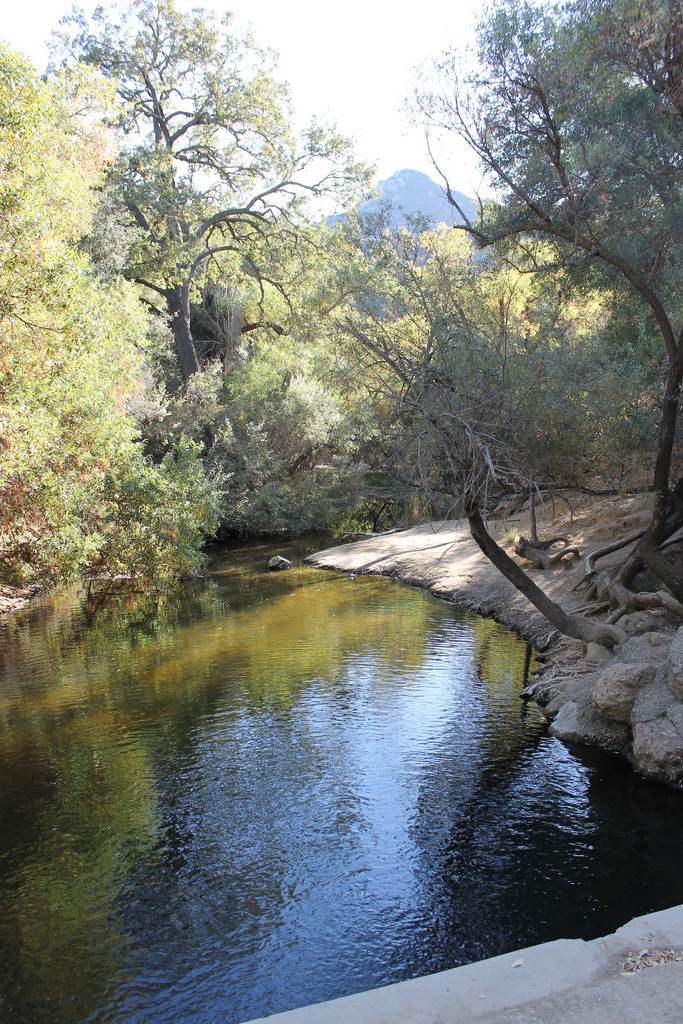 Malibu Creek Comprehensive Restoration