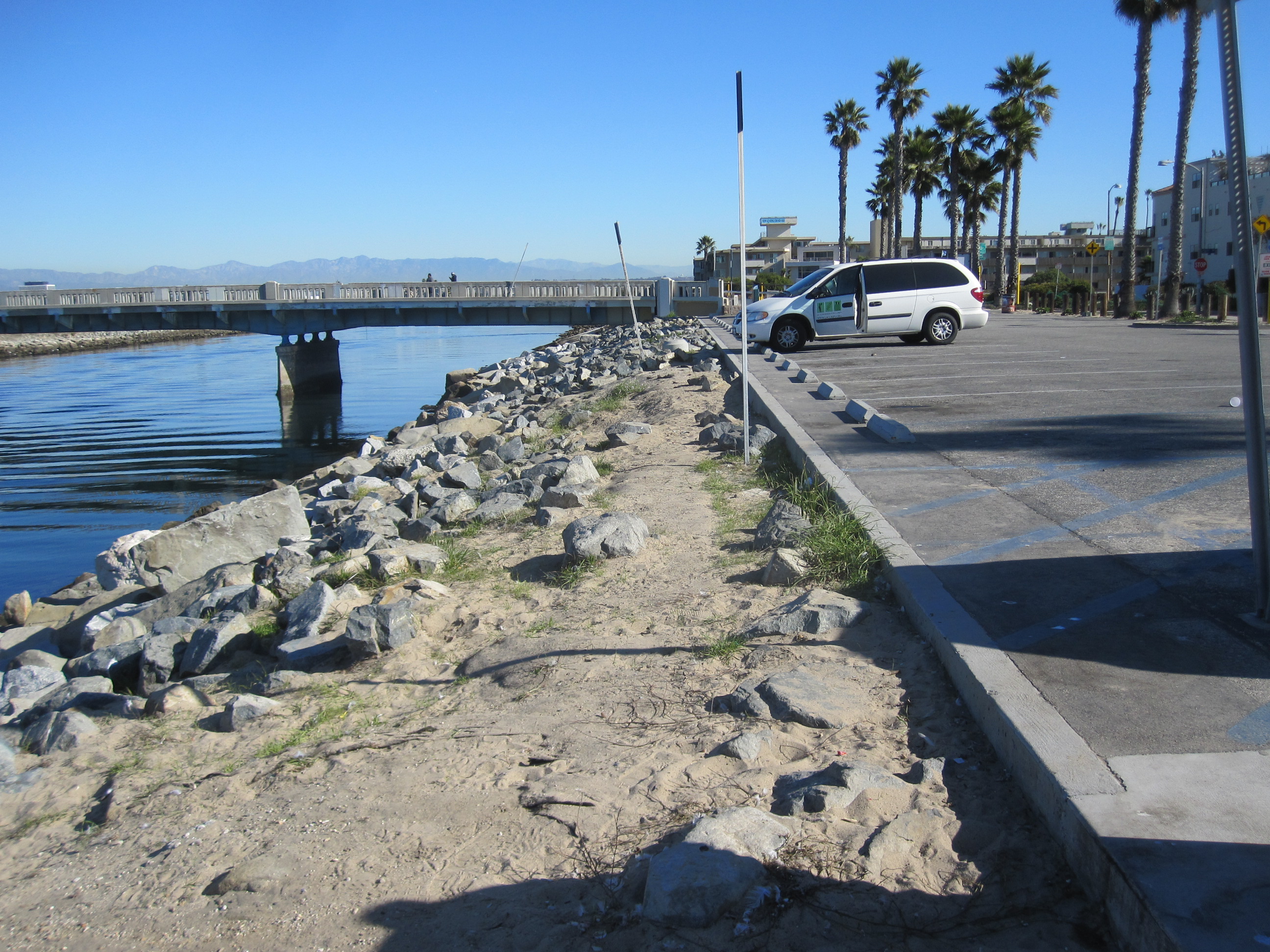 Playa Del Rey Habitat Restoration project