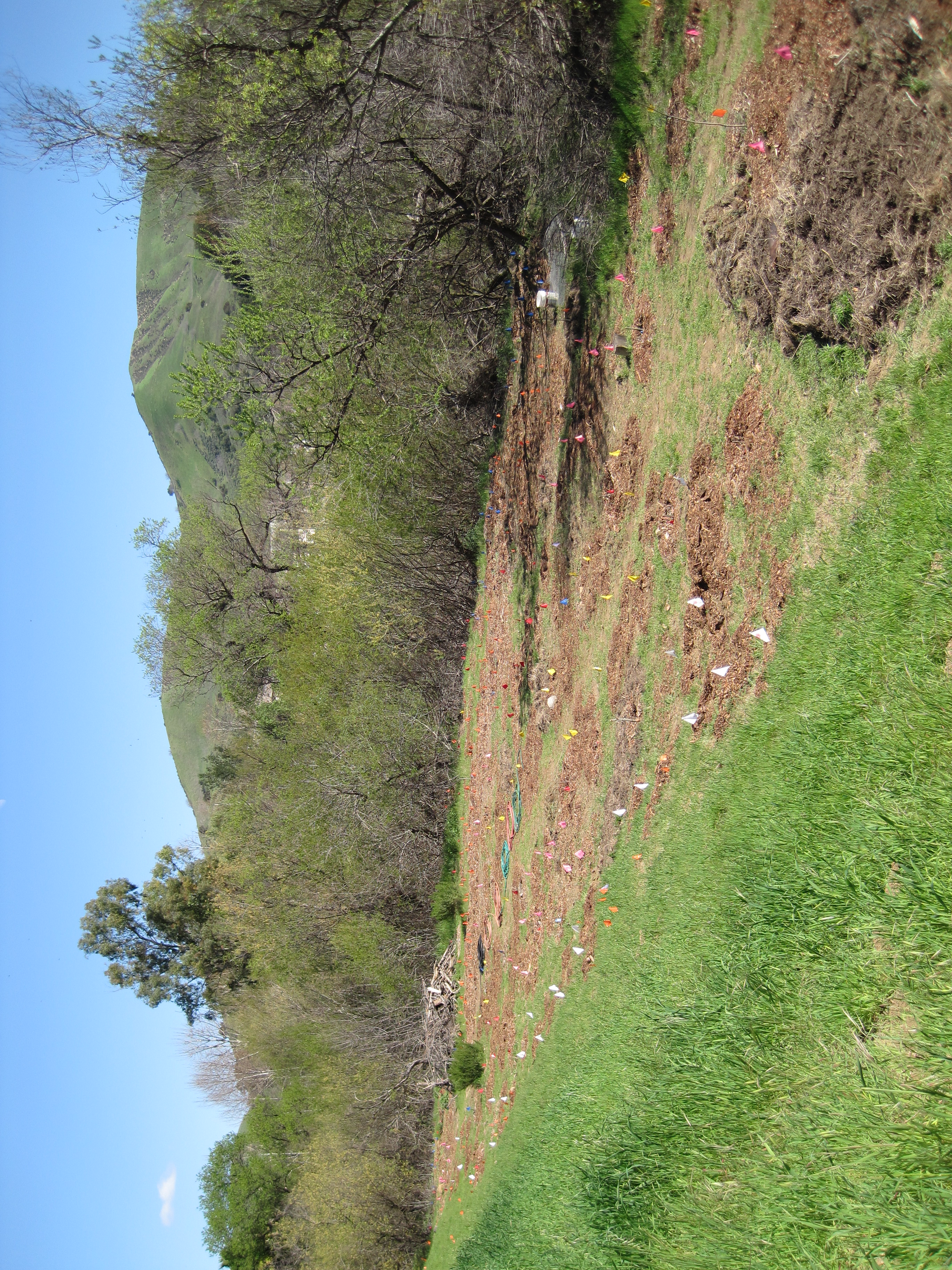 Las Virgenes Creek Restoration