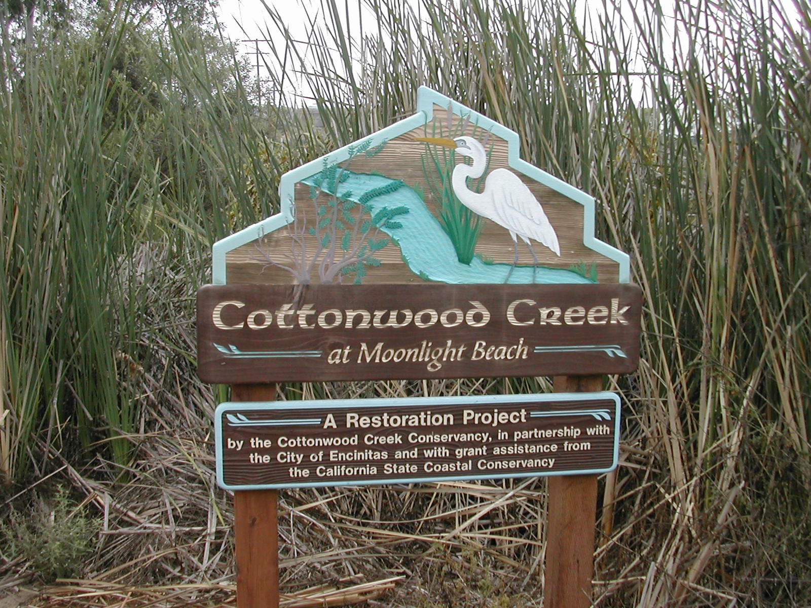Cottonwood Creek Park Riparian Restoration