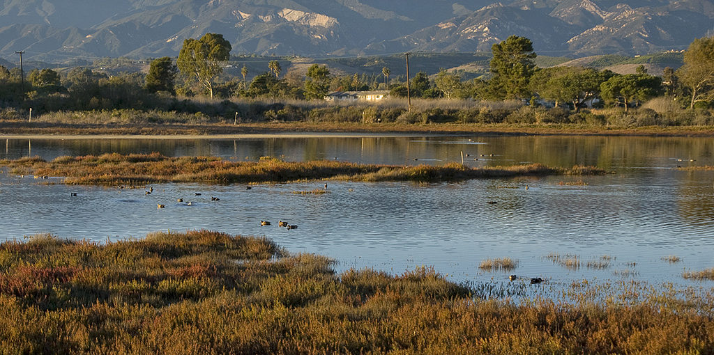 WRP Initiatives - Southern California Wetlands Recovery Project