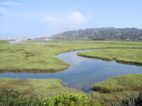 Los Penasquitos Lagoon and Watershed Hydrology and Sedimentation Study