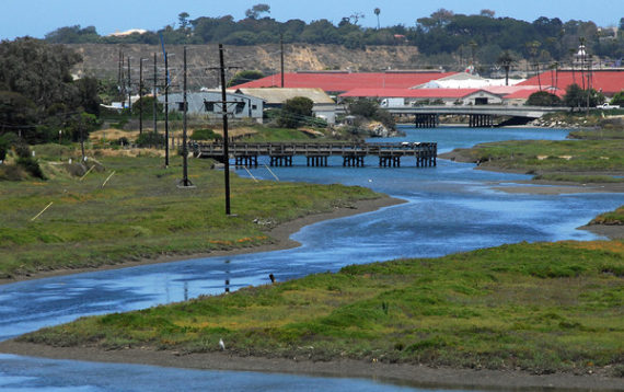 San Dieguito Lagoon Wetland Acquisition - Southern