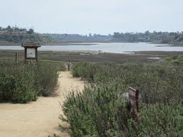 Upper Newport Bay Ecological Restoration, Final Design