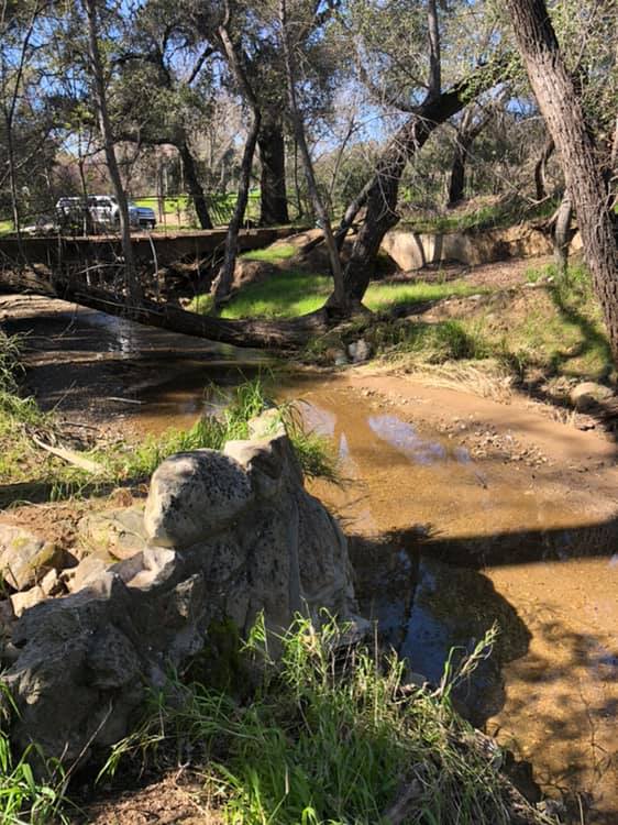 Fox Canyon Barranca and Stewart Canyon Creeks Fish Barrier Removal and Restoration