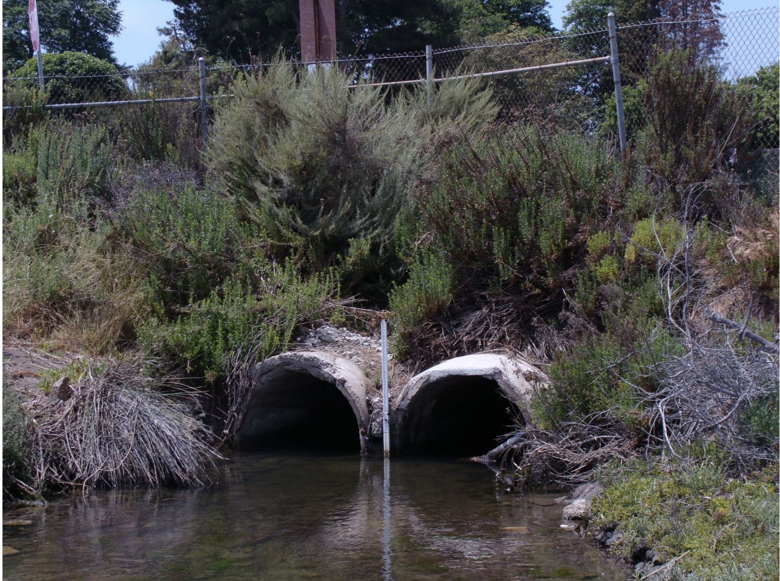 Famosa Slough Culvert Replacement: Design and Engineering