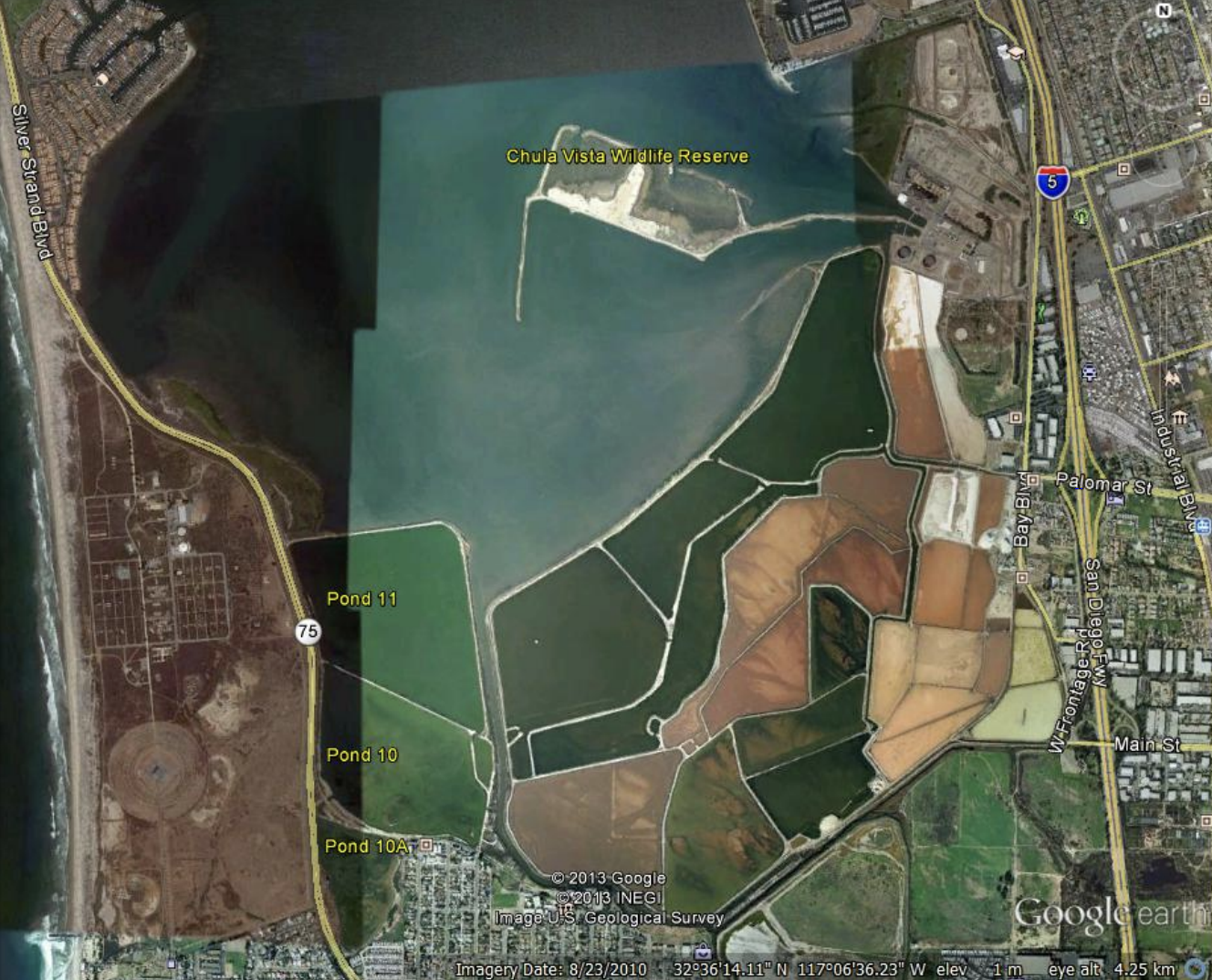 South San Diego Bay Coastal Wetland Restoration Project: Design and Engineering