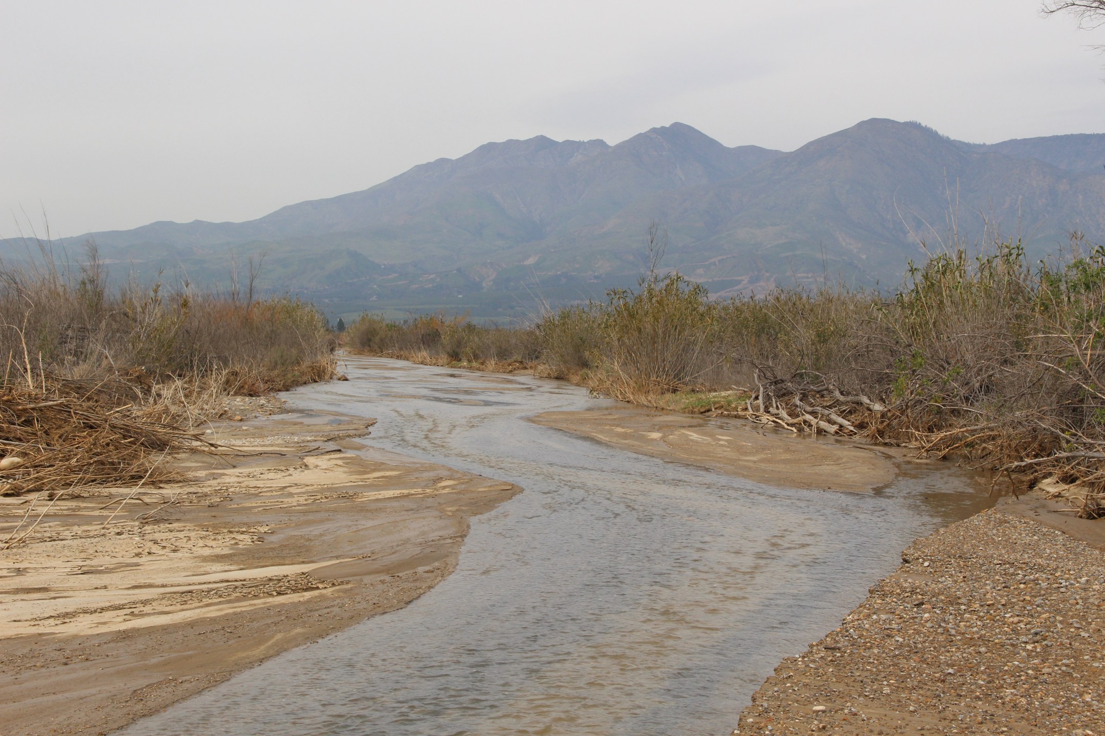 Santa Clara River Riparian Restoration and Community Engagement for the Santa Paula to Sespe Conservation Area