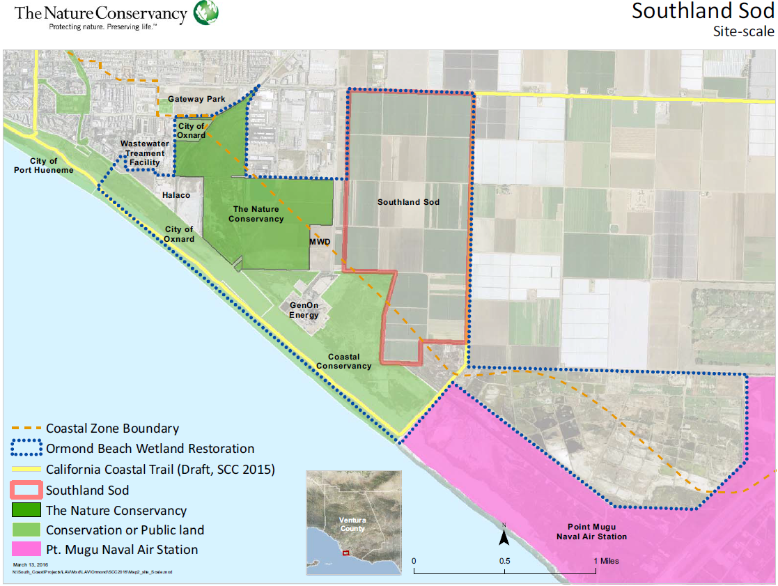 Ormond Beach Wetlands: Sod Farm Acquisition, Part 2
