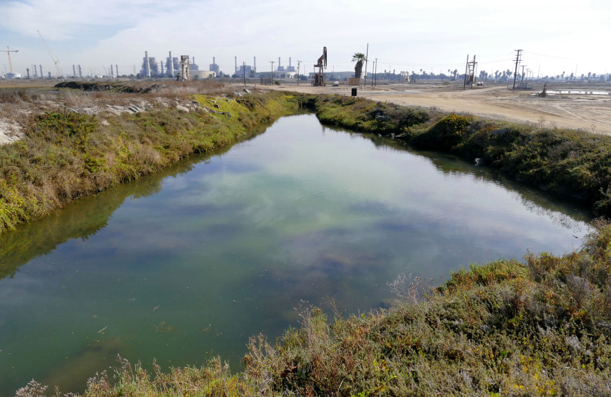 Los Cerritos Wetlands Southern Area Planning and Permitting
