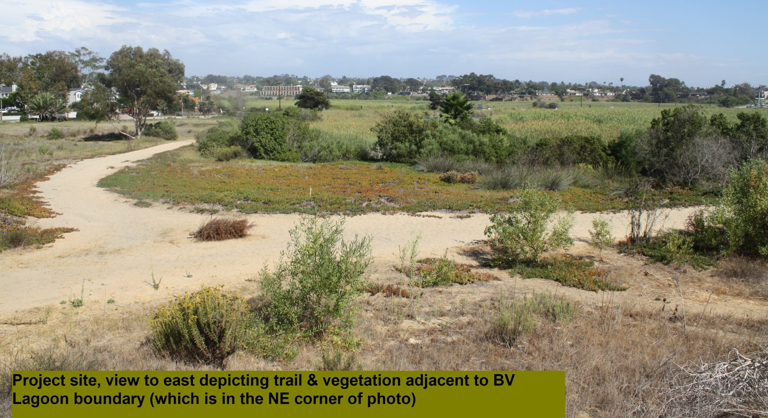 Buena Vista Audubon Society Wetlands Reserve Restoration Project: 60% Design and Engineering