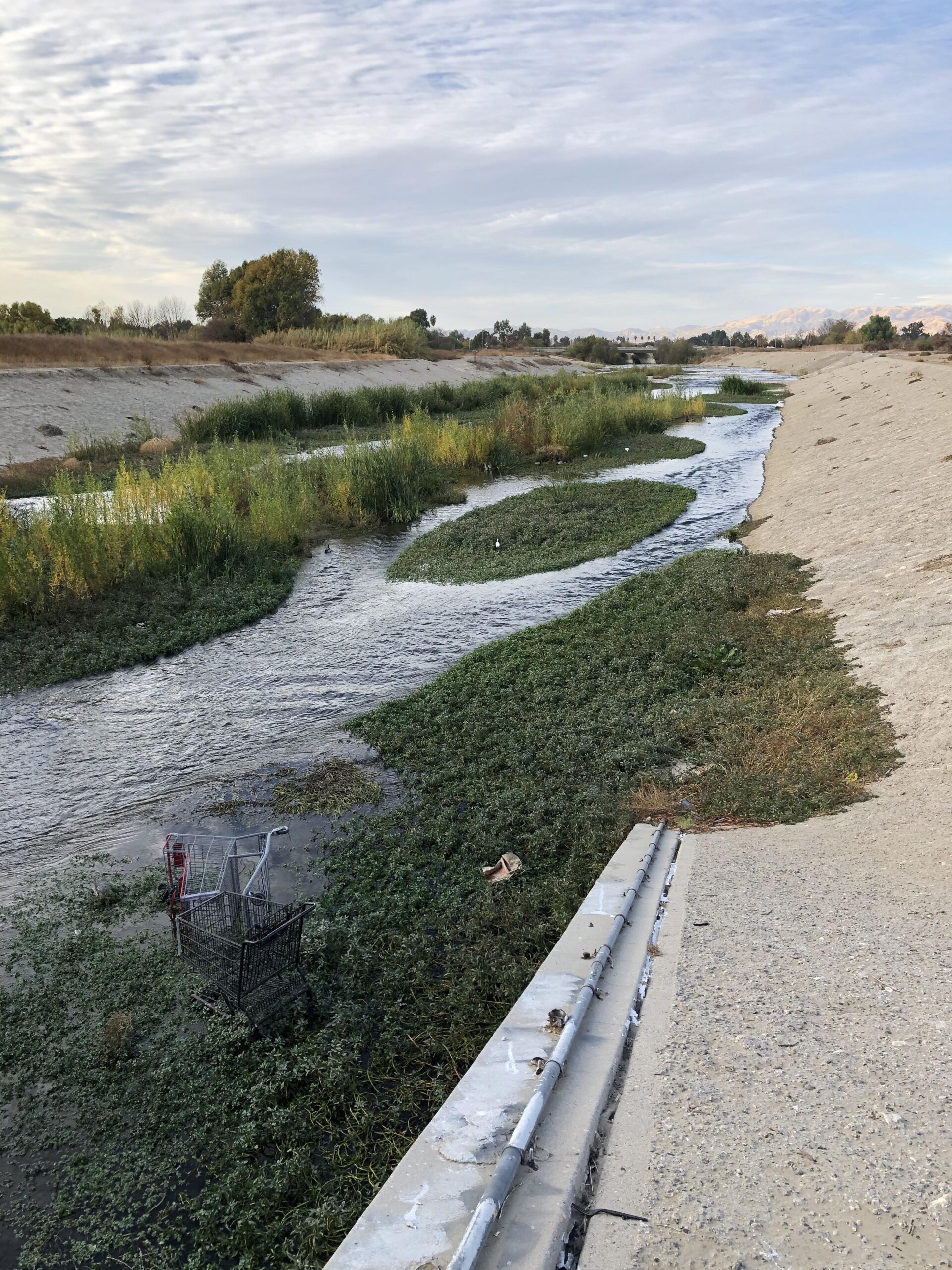 Restoration of Los Angeles River & Tributaries in Sepulveda Basin