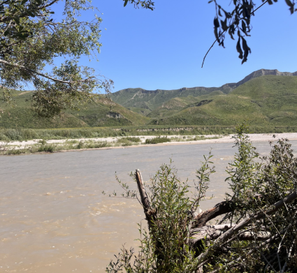 Restoring Resilient and Connected Riparian Stream Corridor Habitat on the Santa Clara River