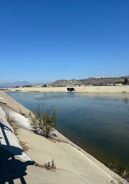 San Juan Creek Estuary Restoration and Enhancement Project